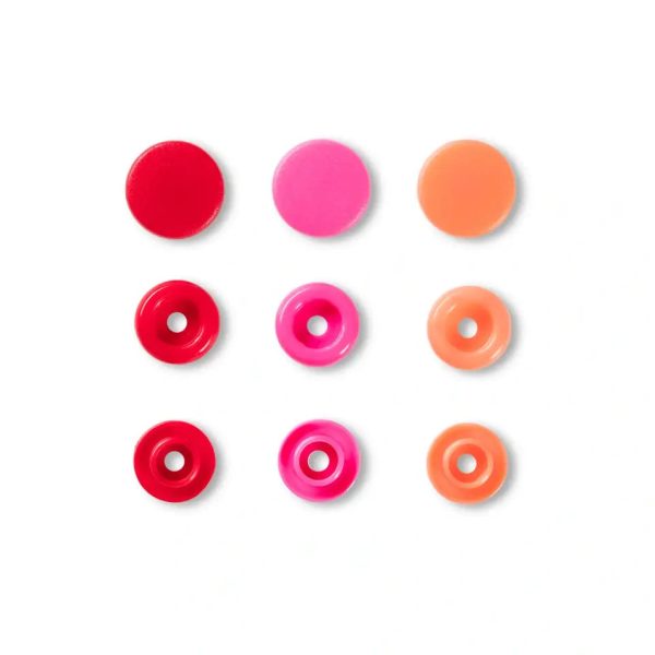 Color Snaps, rot, pink, apricot Online